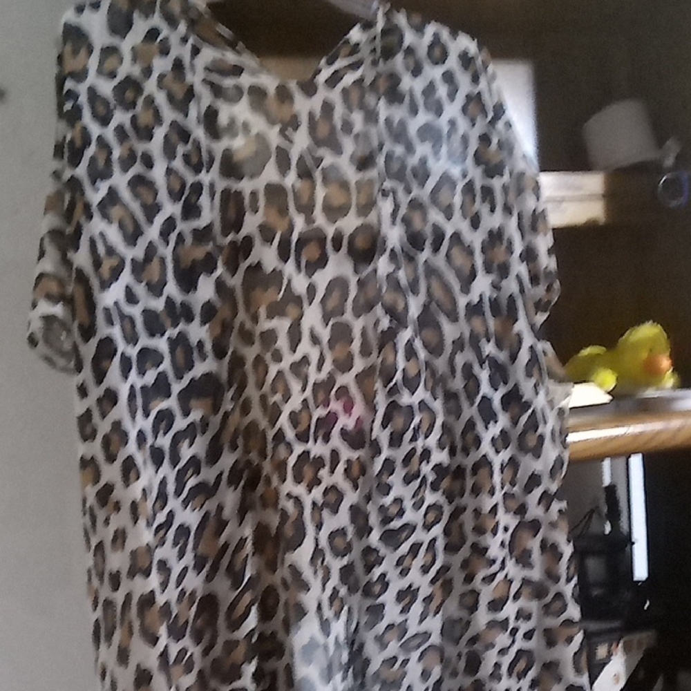 Leopard Print Sheer Top